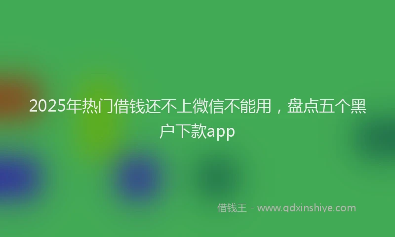 2025年热门借钱还不上微信不能用，盘点五个黑户下款app