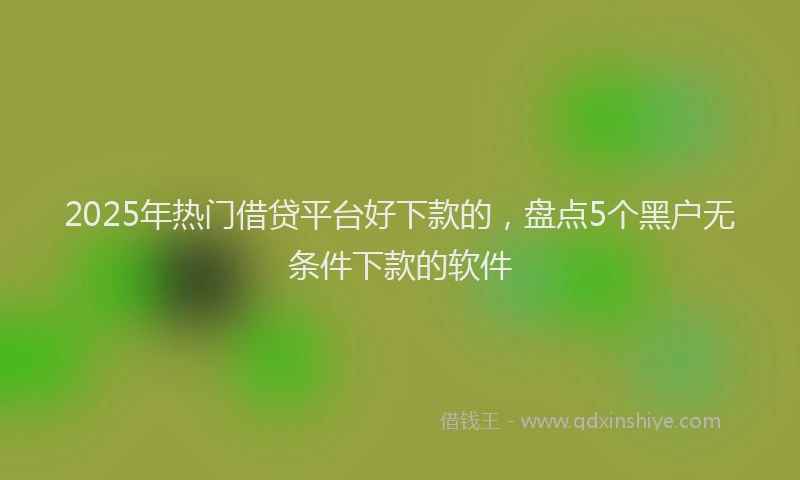 2025年热门借贷平台好下款的，盘点5个黑户无条件下款的软件