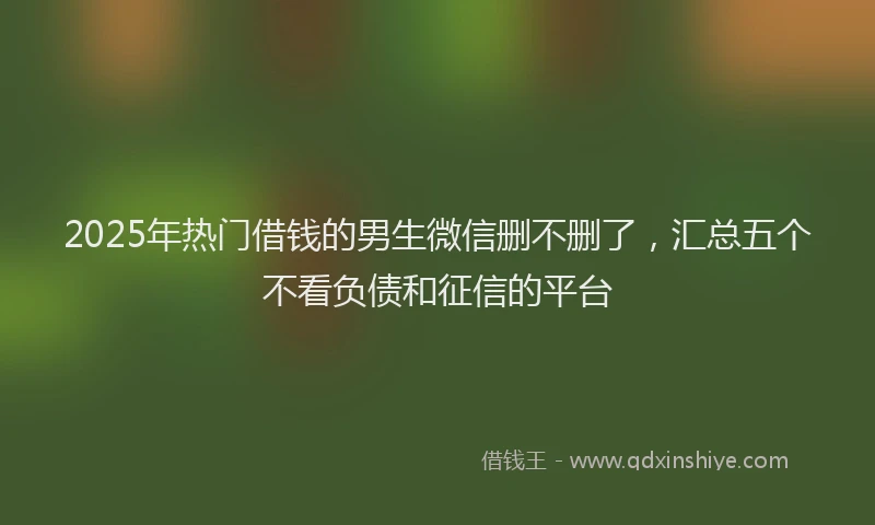 2025年热门借钱的男生微信删不删了，汇总五个不看负债和征信的平台