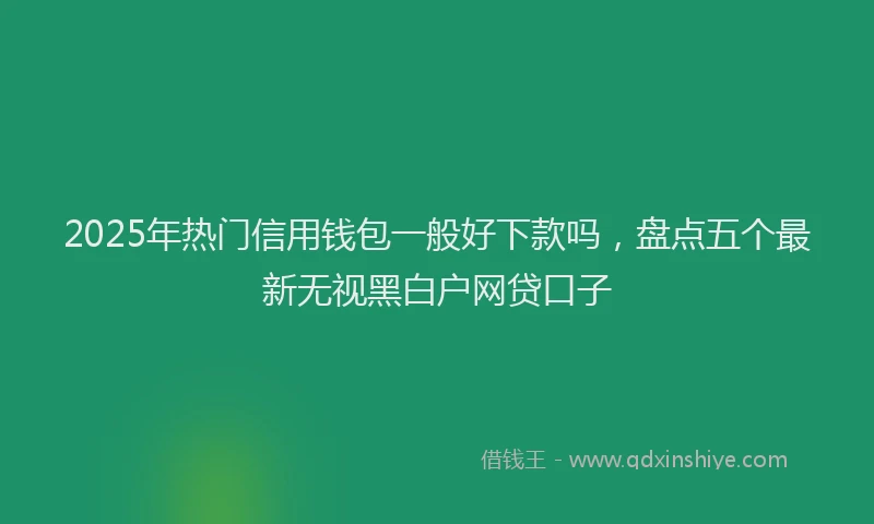 2025年热门信用钱包一般好下款吗，盘点五个最新无视黑白户网贷口子
