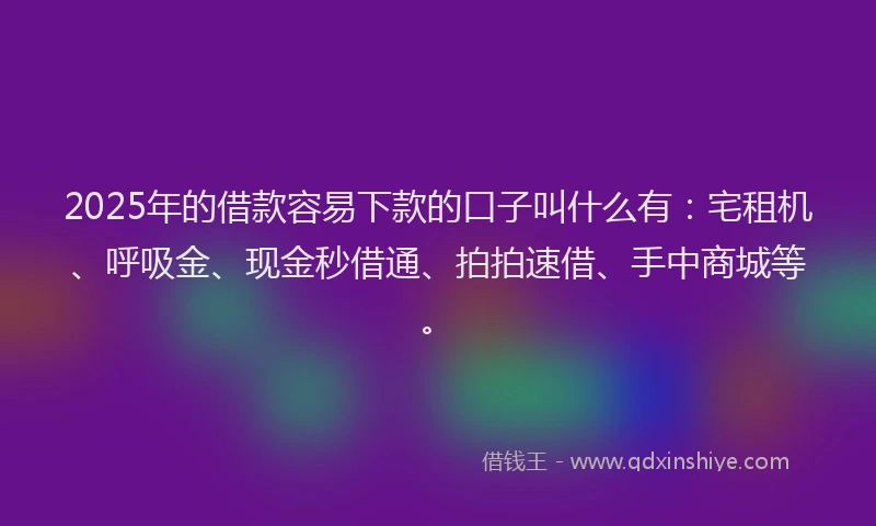 2025年的借款容易下款的口子叫什么有：宅租机、呼吸金、现金秒借通、拍拍速借、手中商城等。