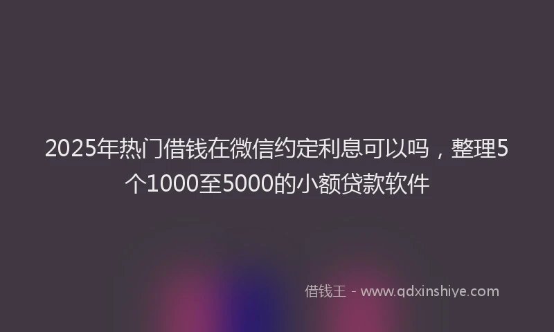 2025年热门借钱在微信约定利息可以吗，整理5个1000至5000的小额贷款软件