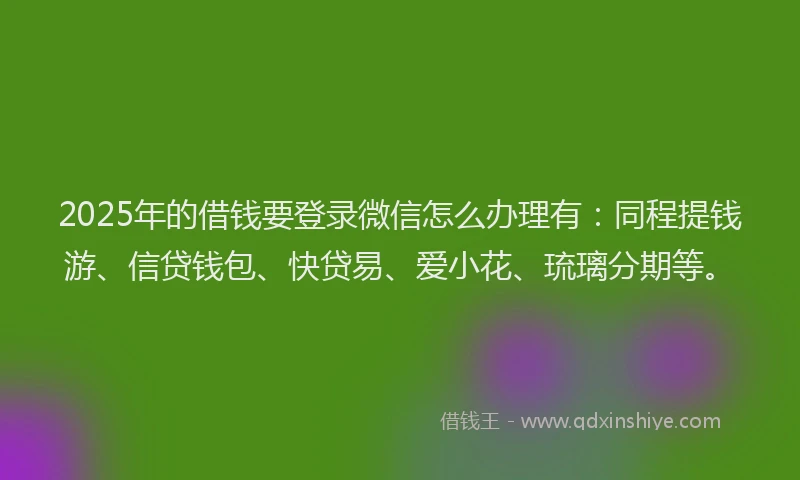 2025年的借钱要登录微信怎么办理有：同程提钱游、信贷钱包、快贷易、爱小花、琉璃分期等。