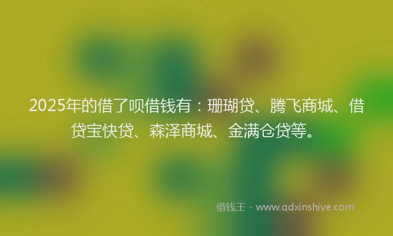 2025年的借了呗借钱有：珊瑚贷、腾飞商城、借贷宝快贷、森泽商城、金满仓贷等。