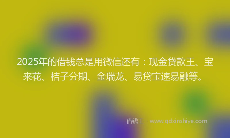 2025年的借钱总是用微信还有：现金贷款王、宝来花、桔子分期、金瑞龙、易贷宝速易融等。