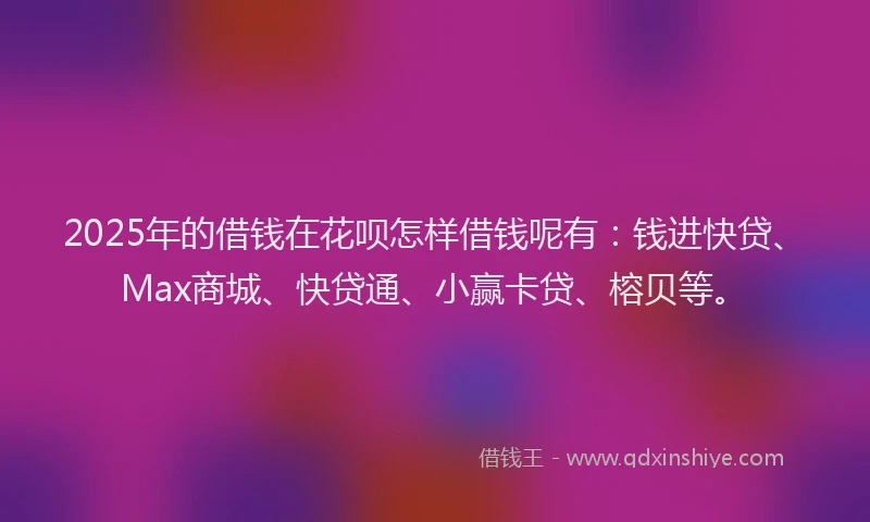 2025年的借钱在花呗怎样借钱呢有：钱进快贷、Max商城、快贷通、小赢卡贷、榕贝等。