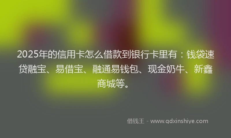 2025年的信用卡怎么借款到银行卡里有：钱袋速贷融宝、易借宝、融通易钱包、现金奶牛、新鑫商城等。