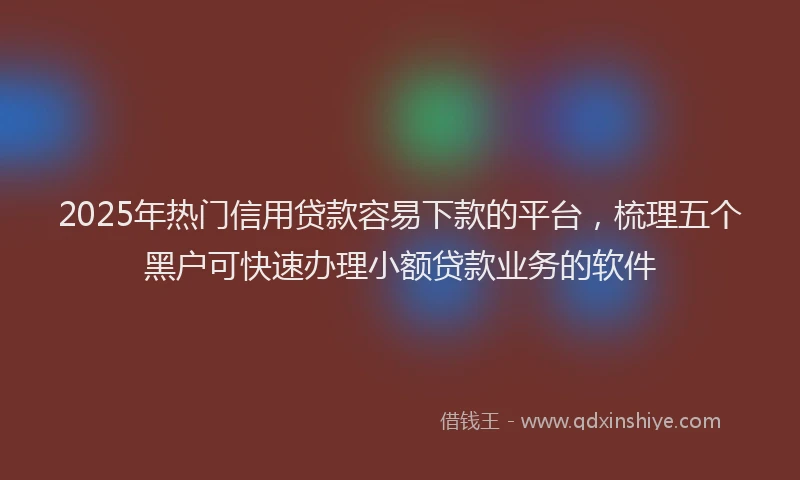 2025年热门信用贷款容易下款的平台，梳理五个黑户可快速办理小额贷款业务的软件