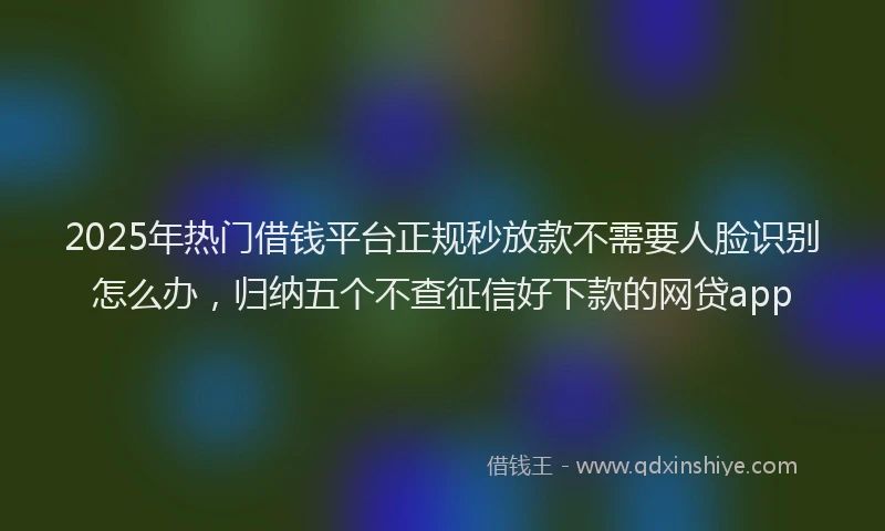 2025年热门借钱平台正规秒放款不需要人脸识别怎么办，归纳五个不查征信好下款的网贷app