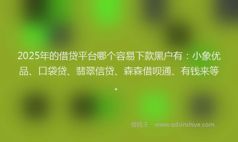 2025年的借贷平台哪个容易下款黑户有：小象优品、口袋贷、翡翠信贷、森森借呗通、有钱来等。