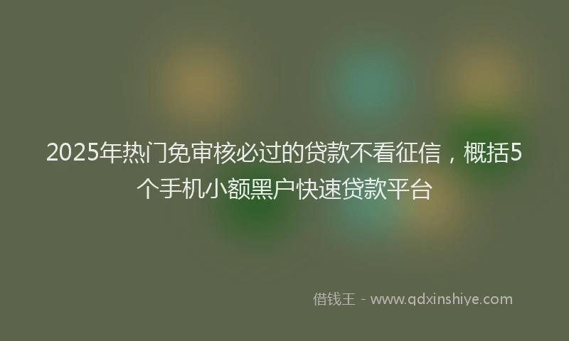 2025年热门免审核必过的贷款不看征信，概括5个手机小额黑户快速贷款平台