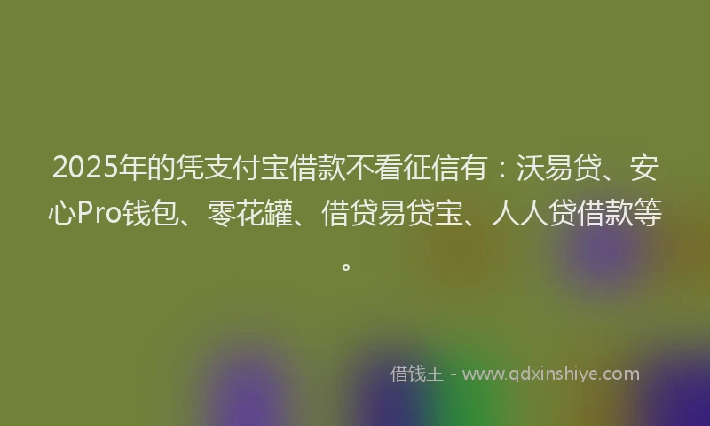 2025年的凭支付宝借款不看征信有：沃易贷、安心Pro钱包、零花罐、借贷易贷宝、人人贷借款等。
