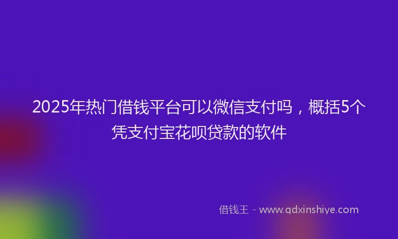 2025年热门借钱平台可以微信支付吗，概括5个凭支付宝花呗贷款的软件