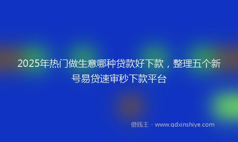 2025年热门做生意哪种贷款好下款，整理五个新号易贷速审秒下款平台