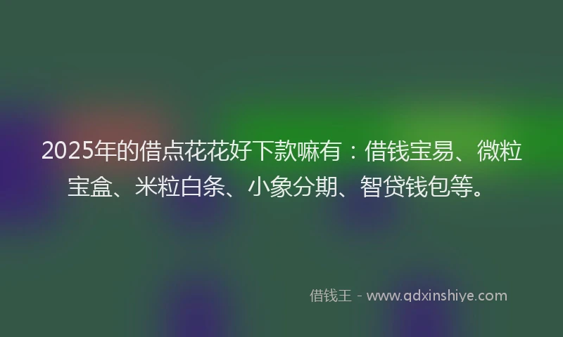 2025年的借点花花好下款嘛有：借钱宝易、微粒宝盒、米粒白条、小象分期、智贷钱包等。