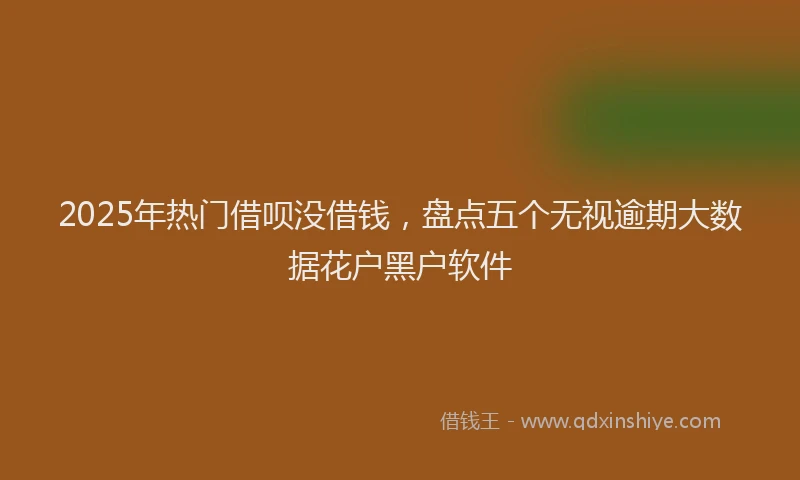 2025年热门借呗没借钱，盘点五个无视逾期大数据花户黑户软件