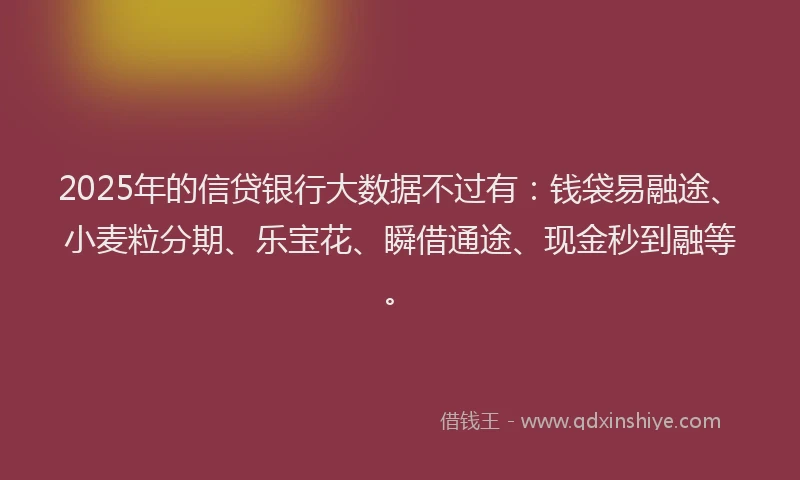 2025年的信贷银行大数据不过有：钱袋易融途、小麦粒分期、乐宝花、瞬借通途、现金秒到融等。