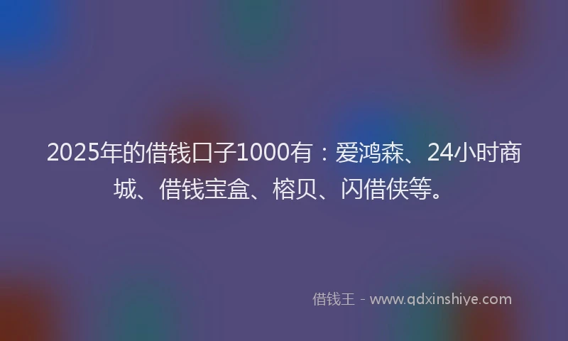 2025年的借钱口子1000有：爱鸿森、24小时商城、借钱宝盒、榕贝、闪借侠等。