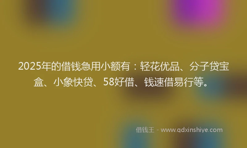 2025年的借钱急用小额有：轻花优品、分子贷宝盒、小象快贷、58好借、钱速借易行等。