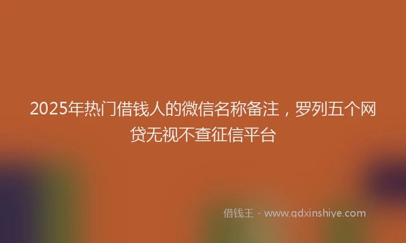 2025年热门借钱人的微信名称备注，罗列五个网贷无视不查征信平台