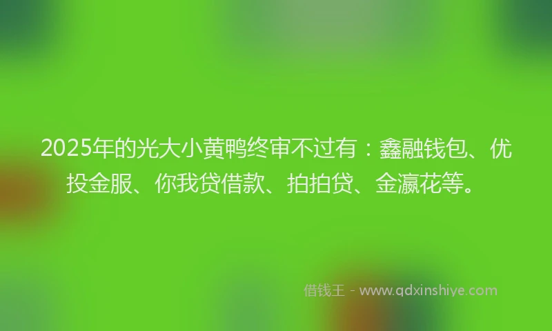2025年的光大小黄鸭终审不过有：鑫融钱包、优投金服、你我贷借款、拍拍贷、金瀛花等。