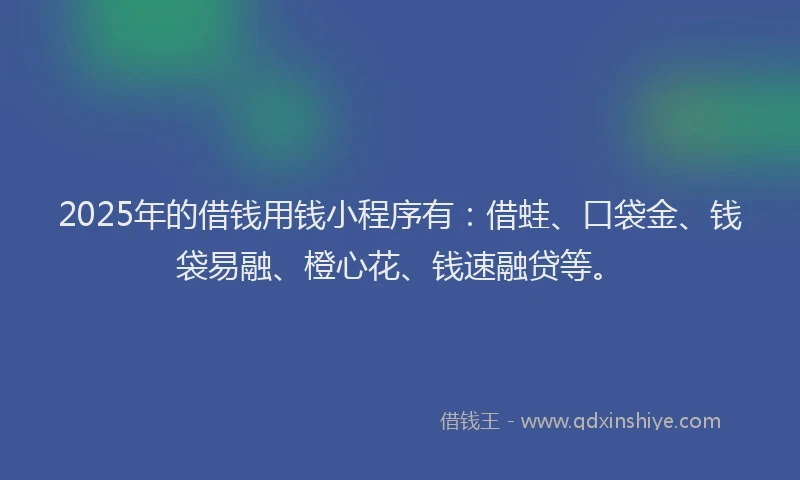 2025年的借钱用钱小程序有：借蛙、口袋金、钱袋易融、橙心花、钱速融贷等。