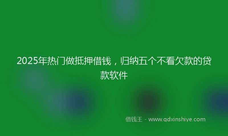 2025年热门做抵押借钱，归纳五个不看欠款的贷款软件