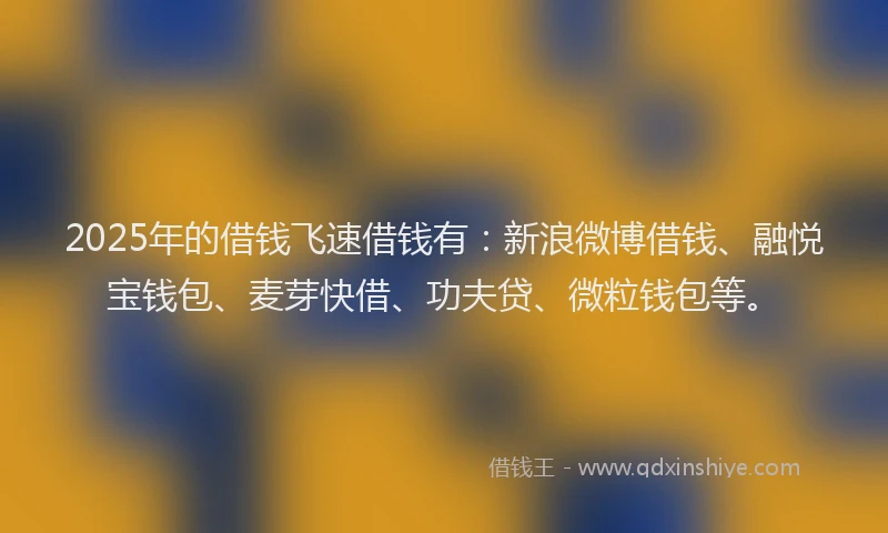 2025年的借钱飞速借钱有：新浪微博借钱、融悦宝钱包、麦芽快借、功夫贷、微粒钱包等。