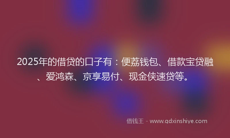 2025年的借贷的口子有：便荔钱包、借款宝贷融、爱鸿森、京享易付、现金侠速贷等。