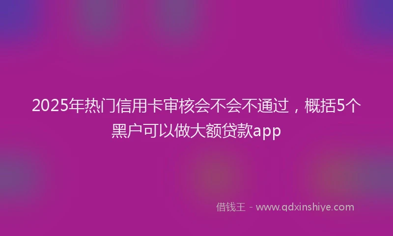 2025年热门信用卡审核会不会不通过，概括5个黑户可以做大额贷款app