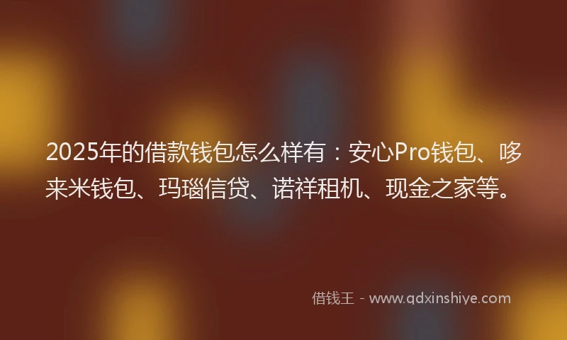 2025年的借款钱包怎么样有：安心Pro钱包、哆来米钱包、玛瑙信贷、诺祥租机、现金之家等。