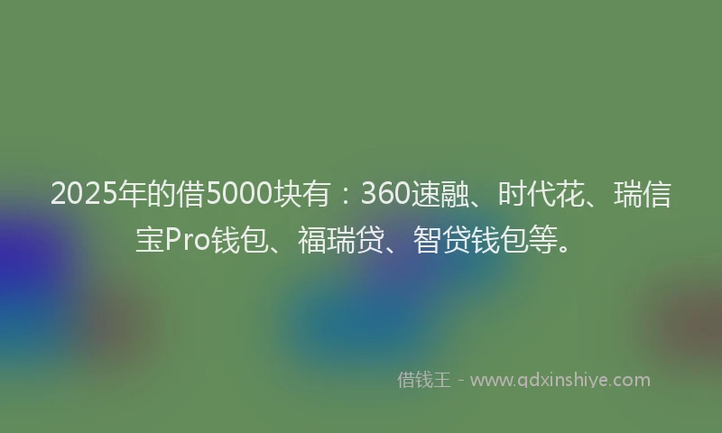 2025年的借5000块有：360速融、时代花、瑞信宝Pro钱包、福瑞贷、智贷钱包等。