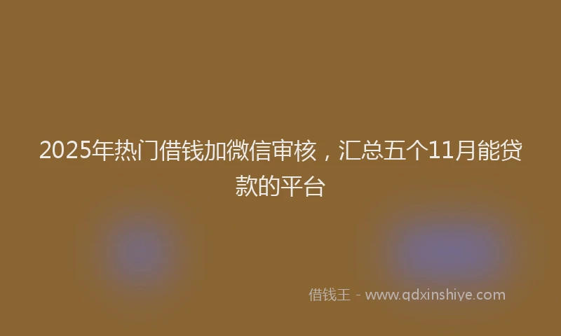 2025年热门借钱加微信审核，汇总五个11月能贷款的平台