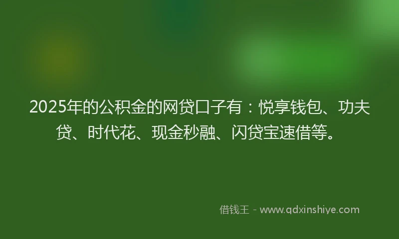 2025年的公积金的网贷口子有：悦享钱包、功夫贷、时代花、现金秒融、闪贷宝速借等。