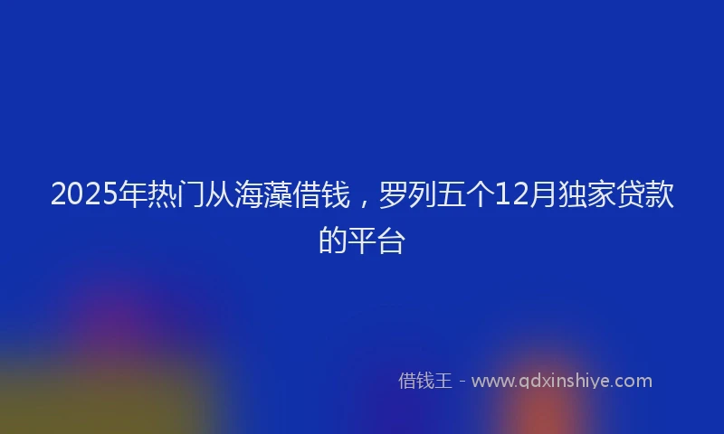 2025年热门从海藻借钱，罗列五个12月独家贷款的平台