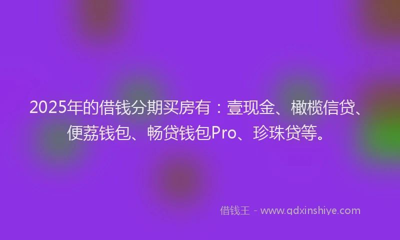 2025年的借钱分期买房有：壹现金、橄榄信贷、便荔钱包、畅贷钱包Pro、珍珠贷等。