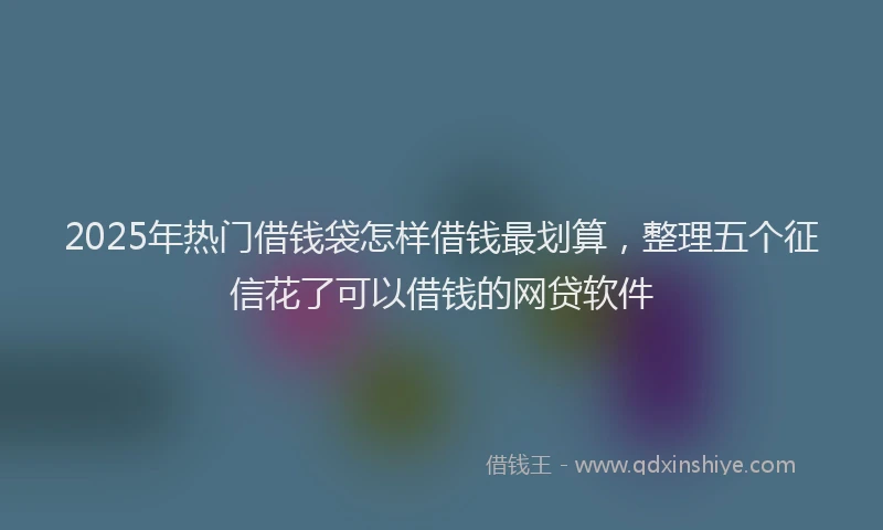 2025年热门借钱袋怎样借钱最划算，整理五个征信花了可以借钱的网贷软件