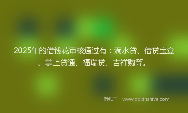 2025年的借钱花审核通过有：滴水贷、借贷宝盒、掌上贷通、福瑞贷、吉祥购等。