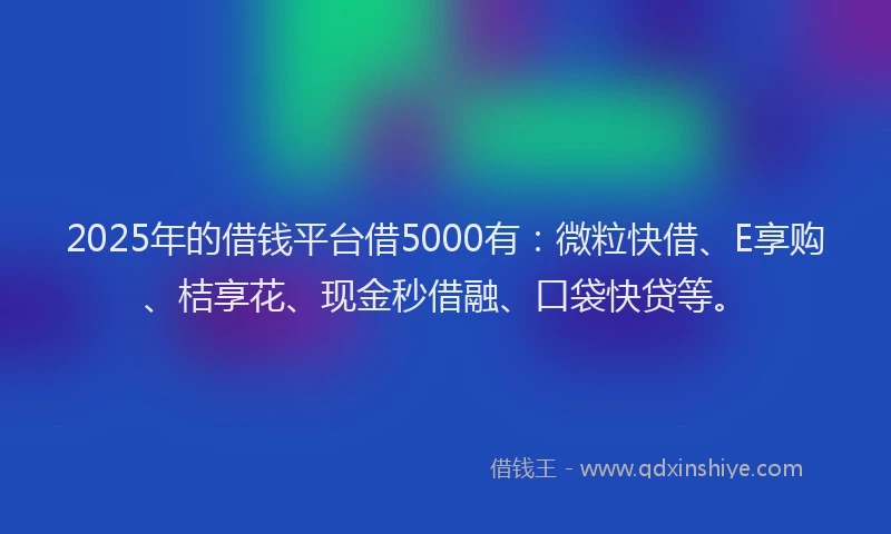 2025年的借钱平台借5000有：微粒快借、E享购、桔享花、现金秒借融、口袋快贷等。