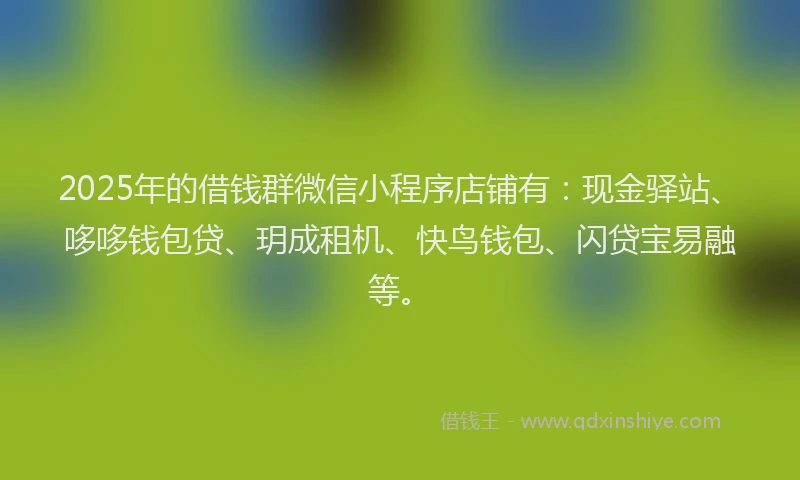 2025年的借钱群微信小程序店铺有：现金驿站、哆哆钱包贷、玥成租机、快鸟钱包、闪贷宝易融等。