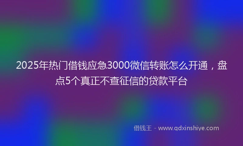2025年热门借钱应急3000微信转账怎么开通，盘点5个真正不查征信的贷款平台
