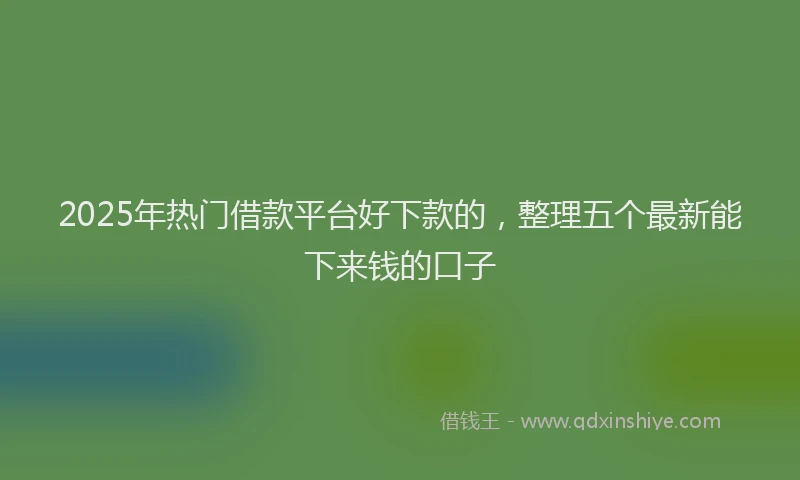 2025年热门借款平台好下款的，整理五个最新能下来钱的口子