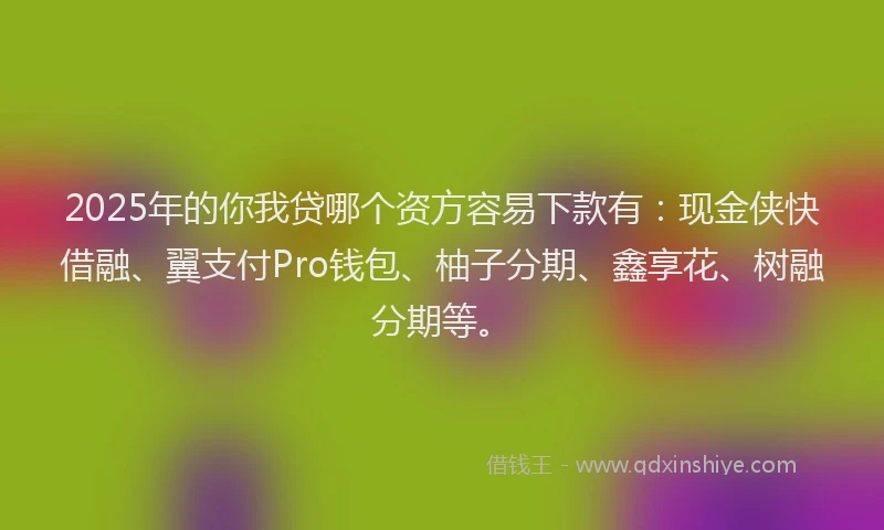 2025年的你我贷哪个资方容易下款有：现金侠快借融、翼支付Pro钱包、柚子分期、鑫享花、树融分期等。