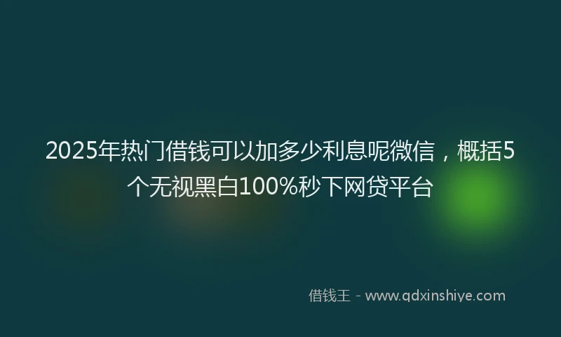 2025年热门借钱可以加多少利息呢微信，概括5个无视黑白100%秒下网贷平台