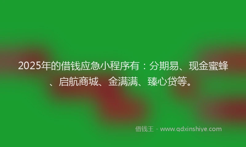 2025年的借钱应急小程序有：分期易、现金蜜蜂、启航商城、金满满、臻心贷等。