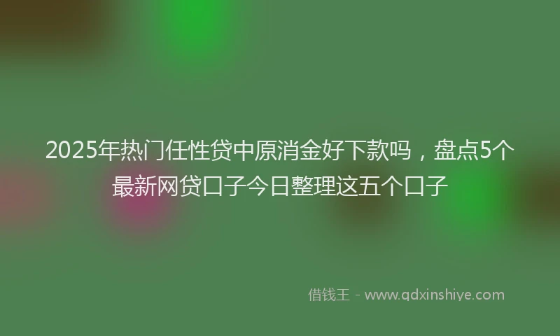 2025年热门任性贷中原消金好下款吗，盘点5个最新网贷口子今日整理这五个口子