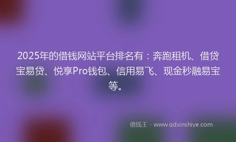 2025年的借钱网站平台排名有：奔跑租机、借贷宝易贷、悦享Pro钱包、信用易飞、现金秒融易宝等。