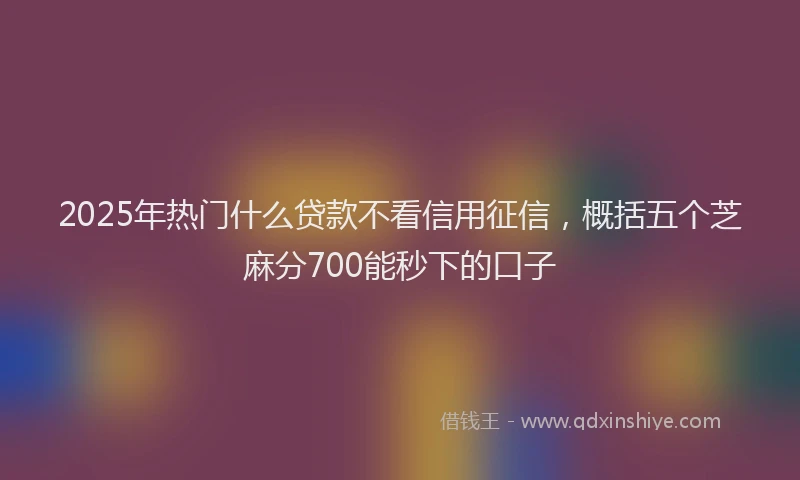 2025年热门什么贷款不看信用征信，概括五个芝麻分700能秒下的口子