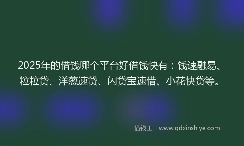 2025年的借钱哪个平台好借钱快有：钱速融易、粒粒贷、洋葱速贷、闪贷宝速借、小花快贷等。
