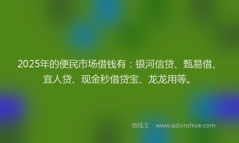 2025年的便民市场借钱有：银河信贷、甄易借、宜人贷、现金秒借贷宝、龙龙用等。